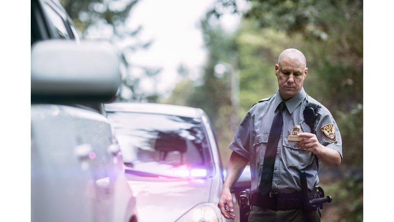 Police Officer Making Traffic Stop