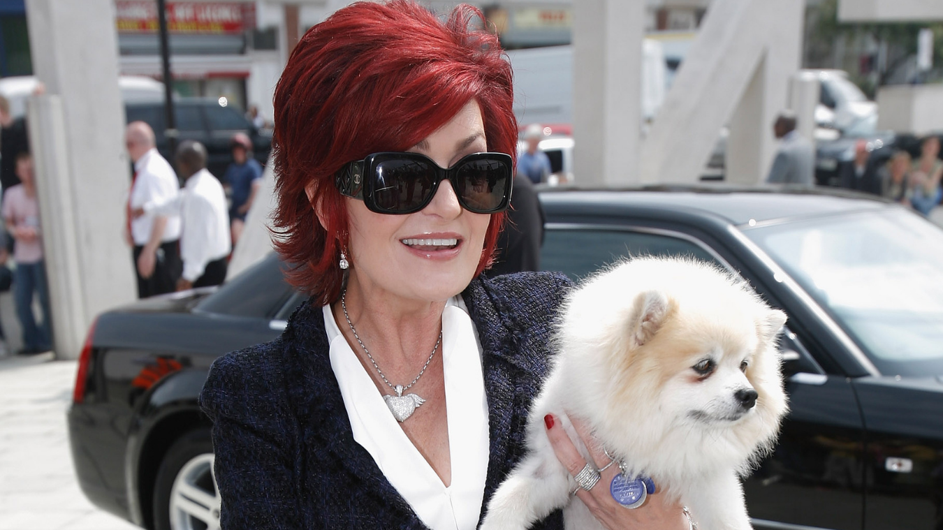 what breed of dog does sharon osbourne have