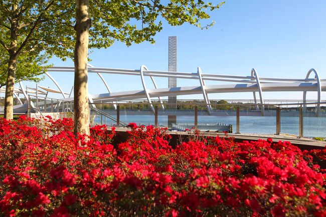 Washington DC Yards Park Bridge