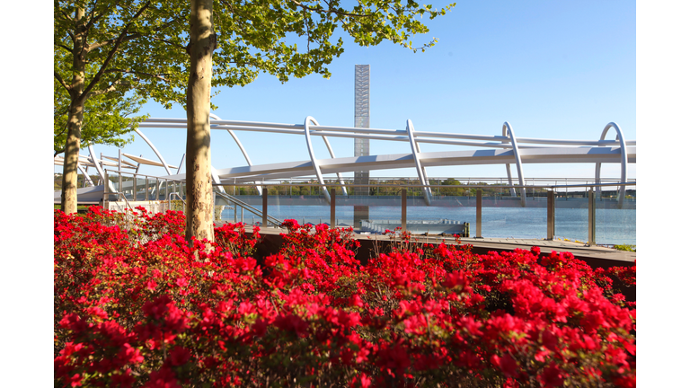 Washington DC Yards Park Bridge