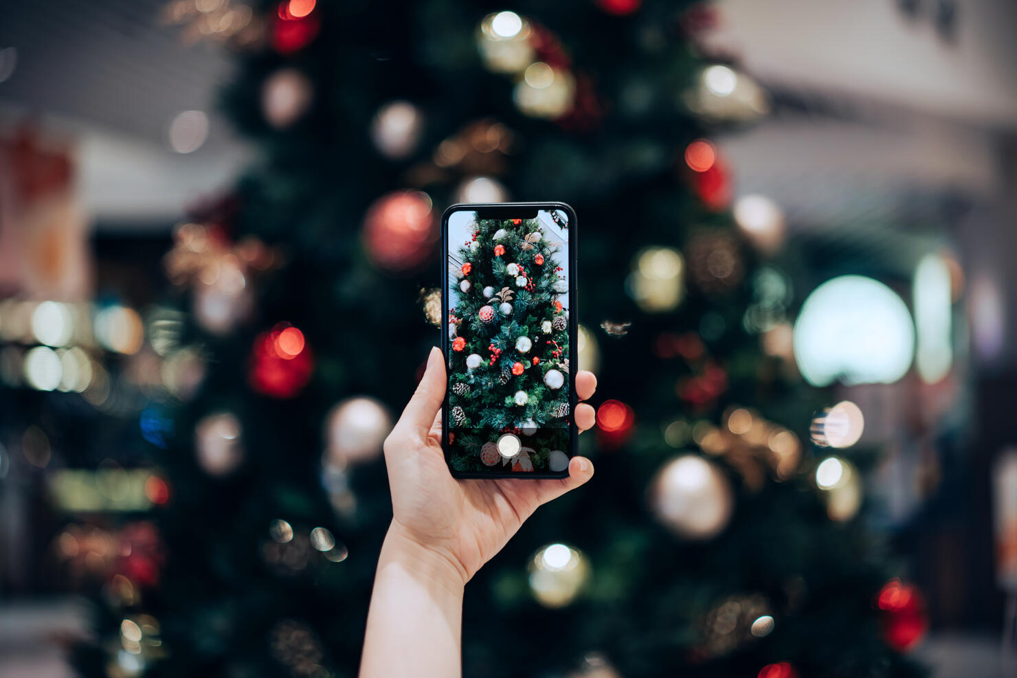 Personal perspective of woman's hand taking photo of a colourful Christmas tree with smartphone in the festive Christmas season