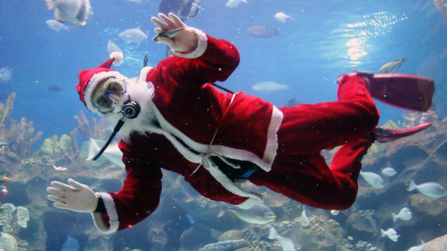 Santa Scuba Dives At Oklahoma Aquarium Ahead Of Christmas Iheart