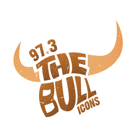 97.3 The Bull