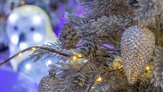 Video: Family Finds Owl in Their Christmas Tree