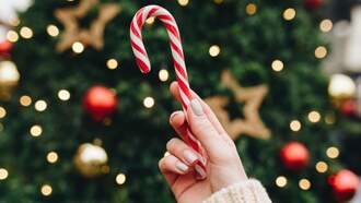 This Is The Most Popular Christmas Candy In Kentucky