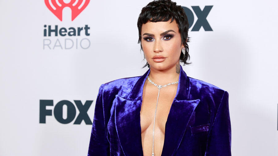 Demi Lovato Says 'Having a Family Is Really Important' as She