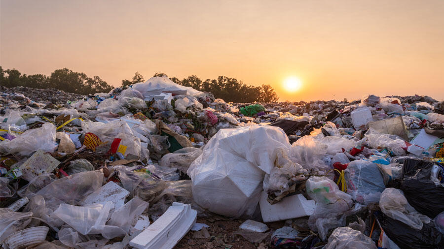 Massive Line Of Cars Wait To Dump Trash Amid San Diego Garbage Strike ...