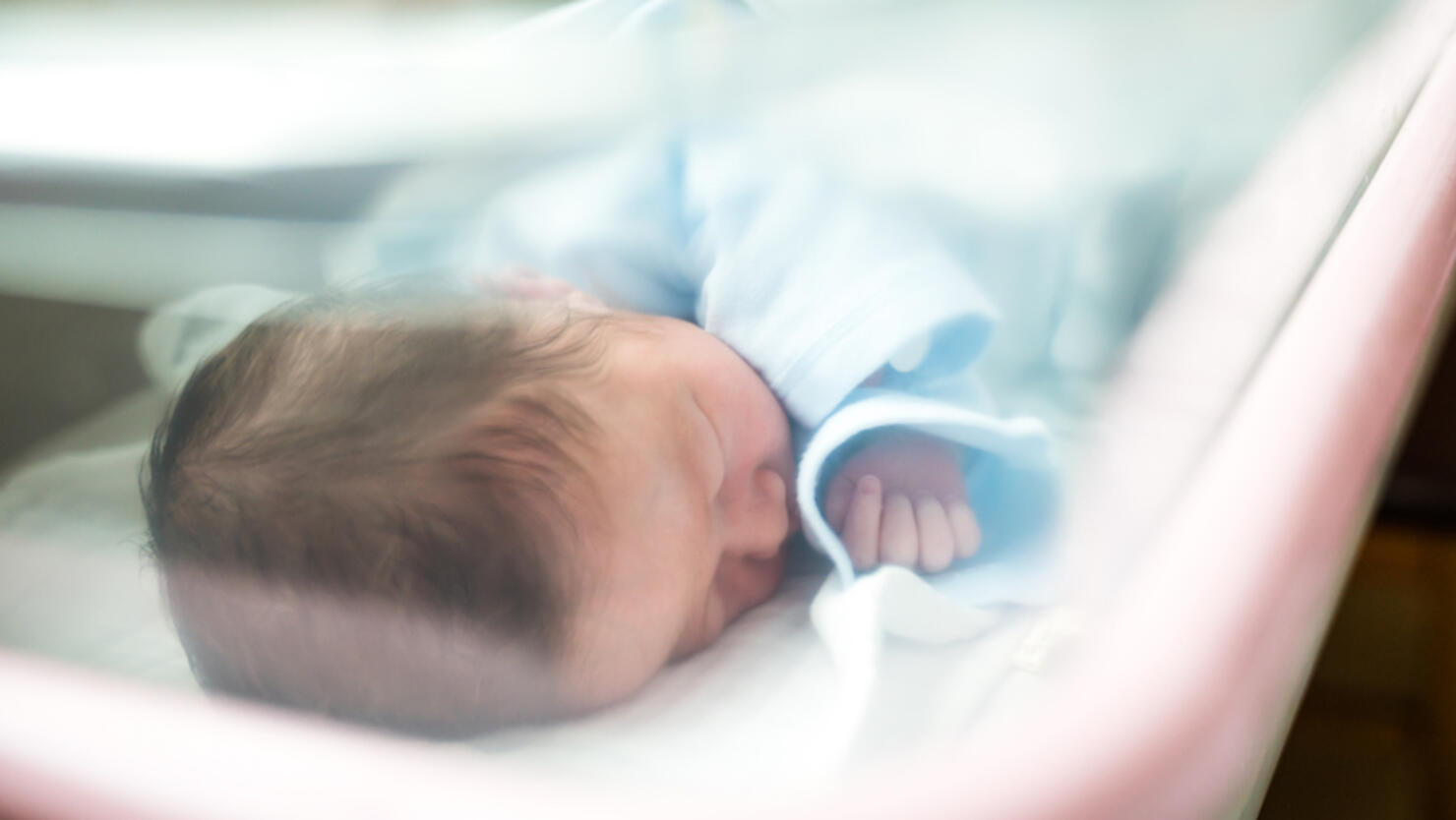 Newborn Baby Sleeping In Hospital Bassinet