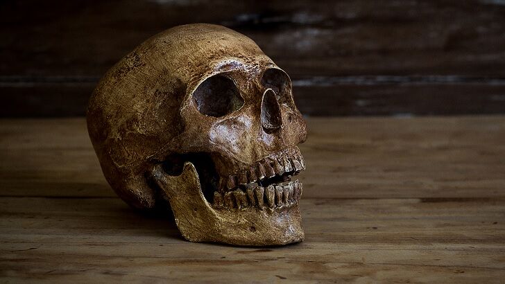 Skull Stolen from Haunted British Pub