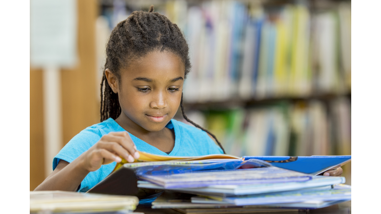 Looking Through Books at the Library