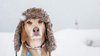 Big Y Storm Center Winter Weather Updates