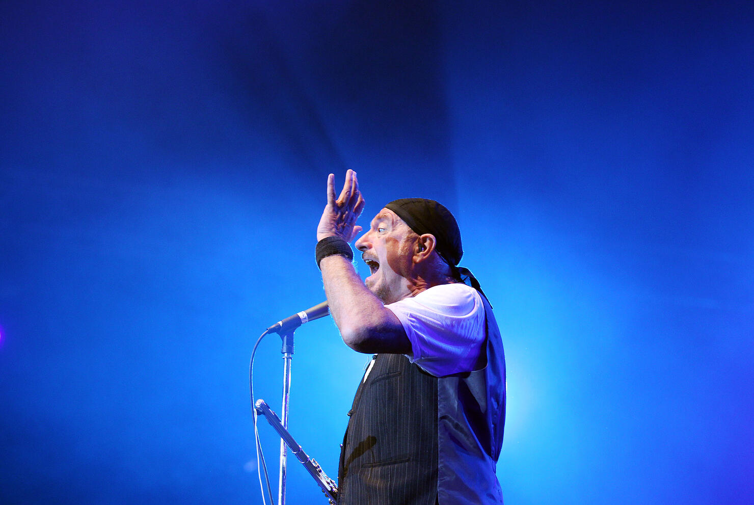 Bluesfest Music Festival - Day 5