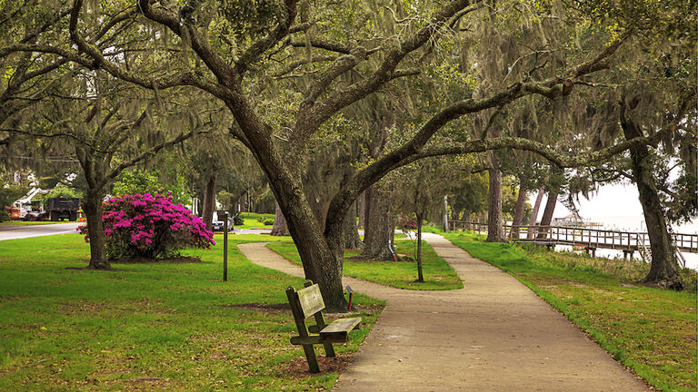 A Walk in the Park