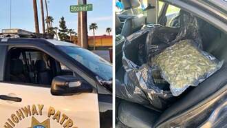 content - California Officers Make Massive Drug Bust On 'Stoner Drive'