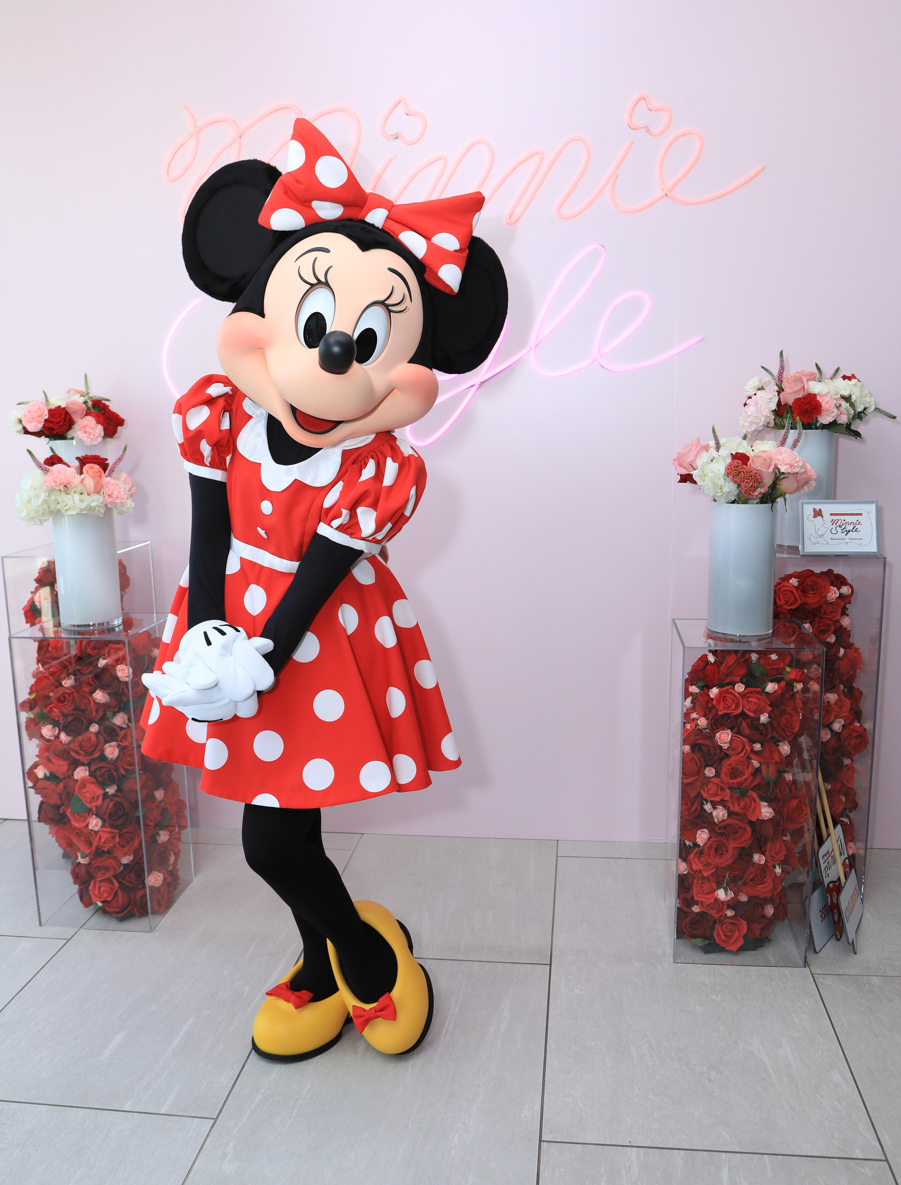 Minnie mouse 2025 with red dress