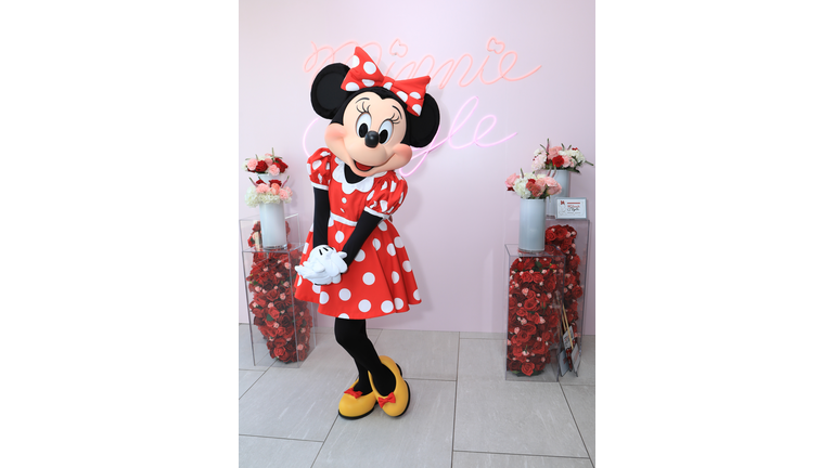 Minnie Mouse 90th Anniversary Celebration