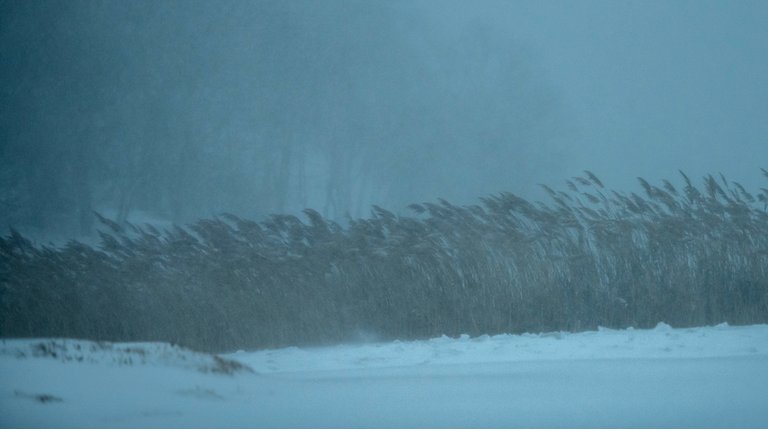 Northeast Hit With Major Snowstorm