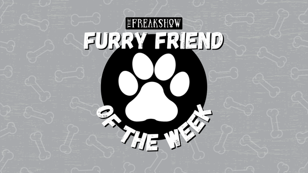 Check Out Our Freakshow Furry Friend Of The Week