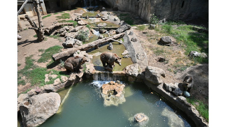 ITALY-ANIMAL-ZOO-WEATHER