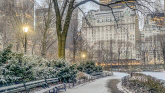 Solid gold cube weighing 410 pounds was on display in Central Park