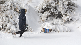 New Mexico Declares Statewide Snow Day Amid Winter Storm