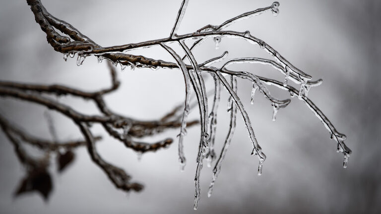 Freezing Rain In Greater Boston