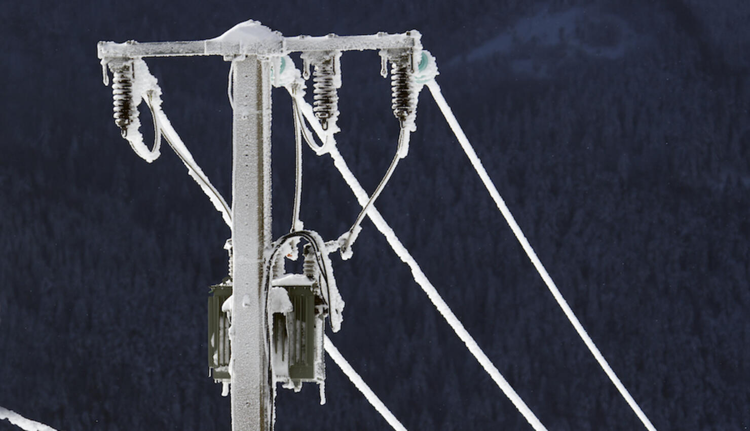 Electric cable frozen in winter