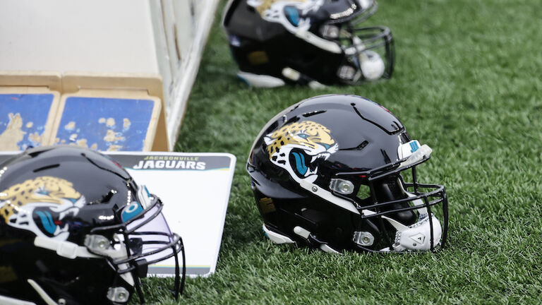 NFL: JAN 02 Jaguars at Patriots