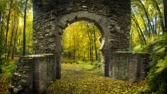 Origins of Civilization / Open Lines