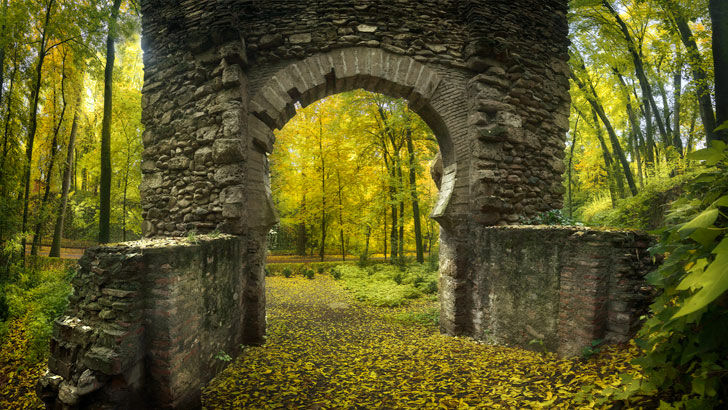 Origins of Civilization / Open Lines