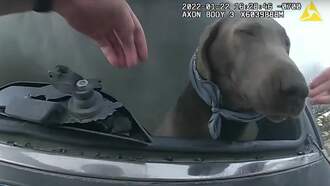 WATCH: Douglas County Deputy Saves Dog From Burning SUV