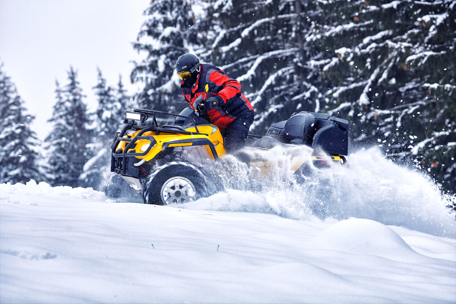 Winter walk on the quad bike in the forest.