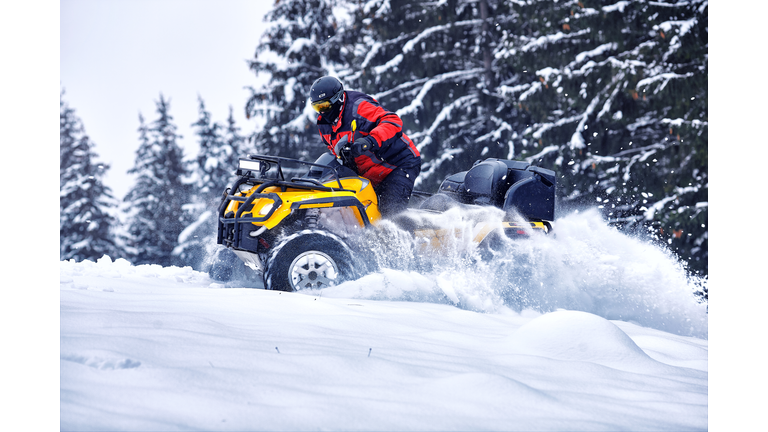 Winter walk on the quad bike in the forest.