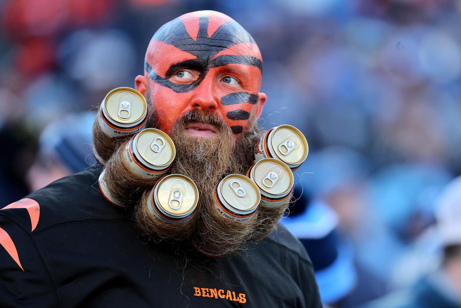 AFC Divisional Playoffs - Cincinnati Bengals v Tennessee Titans
