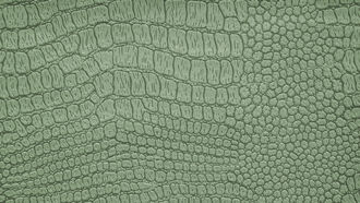 Planet X Trajectory / Reptilians and Underground Bases