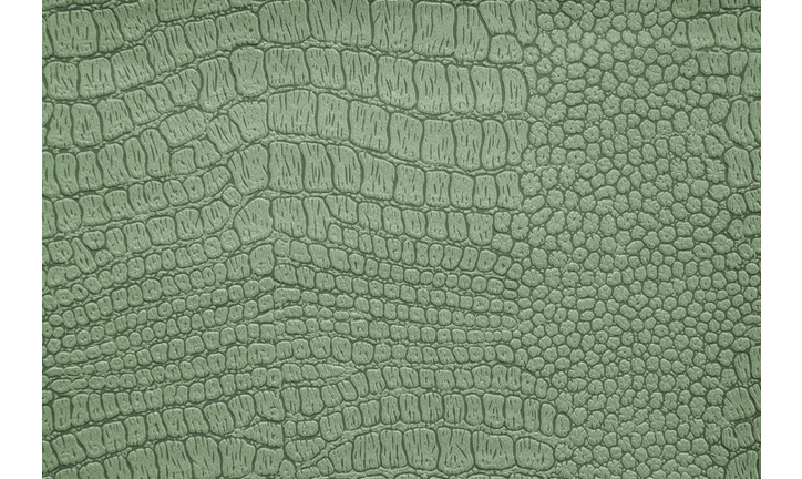 Planet X Trajectory / Reptilians and Underground Bases