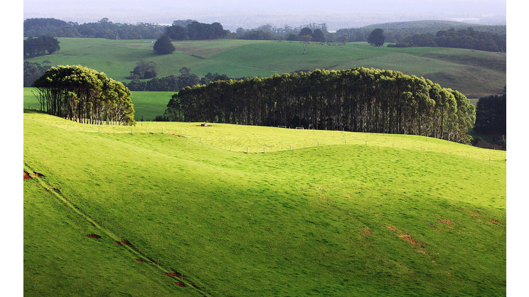 Tasmania Goes Green For Eco Tourism