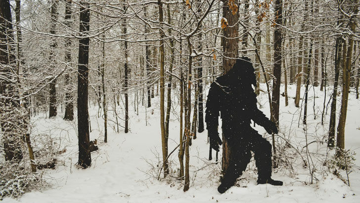 Alien Abduction Phenomenon / Search for Bigfoot