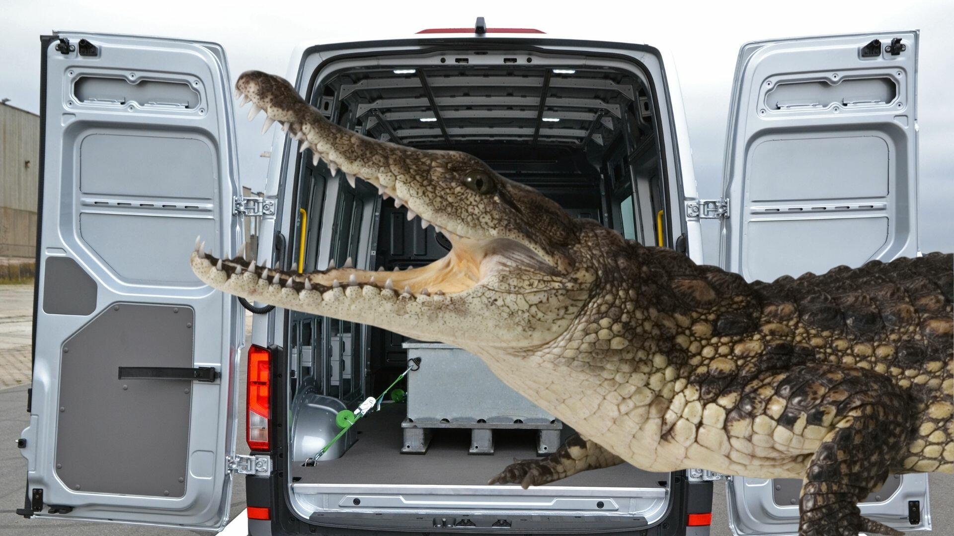 Rwraps™ Saltwater Crocodile Vinyl Wrap