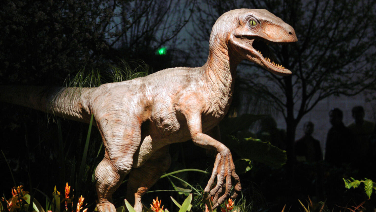 New Dinosaur Exhibit Will Transform Nashville Zoo Into A Jurassic Park