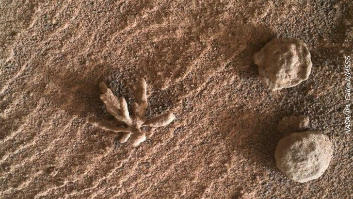 Richard C. Hoagland - Mars Anomalies Images