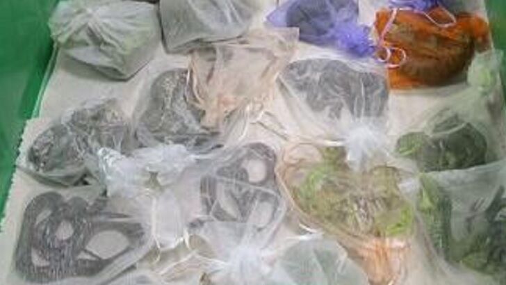 Border Police Bust Man Entering Country with 52 Reptiles Hidden in His Clothing
