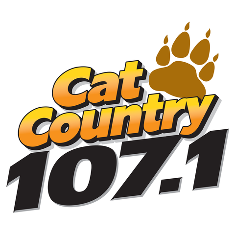 Jacksonville Jaguars Radio Network affiliate stations - Big Cat Country