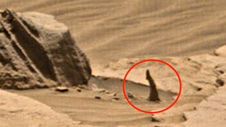 Anomaly Hunter Spots 'Human Leg' on Mars