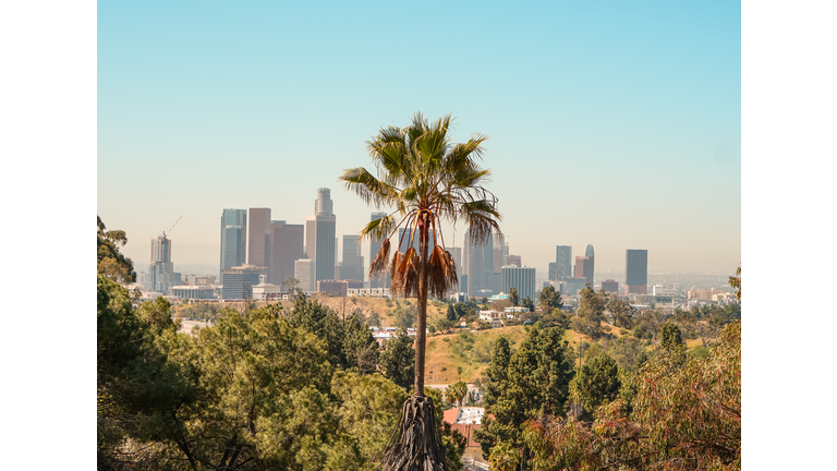 Trees And Plants Growing In City Against Clear Sky