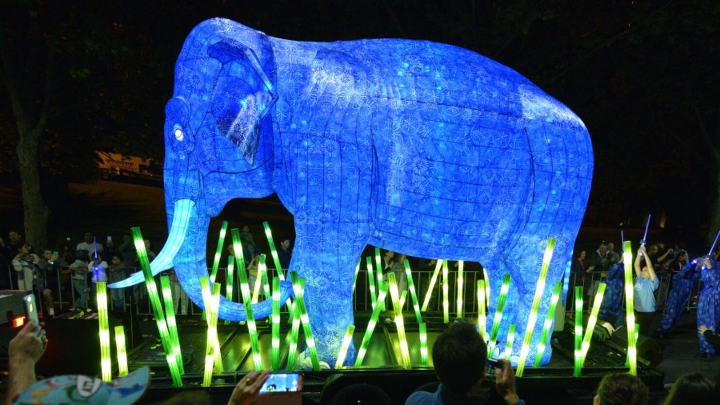 'Wildly Popular' Wild Lights Returns To Louisville Zoo iHeart