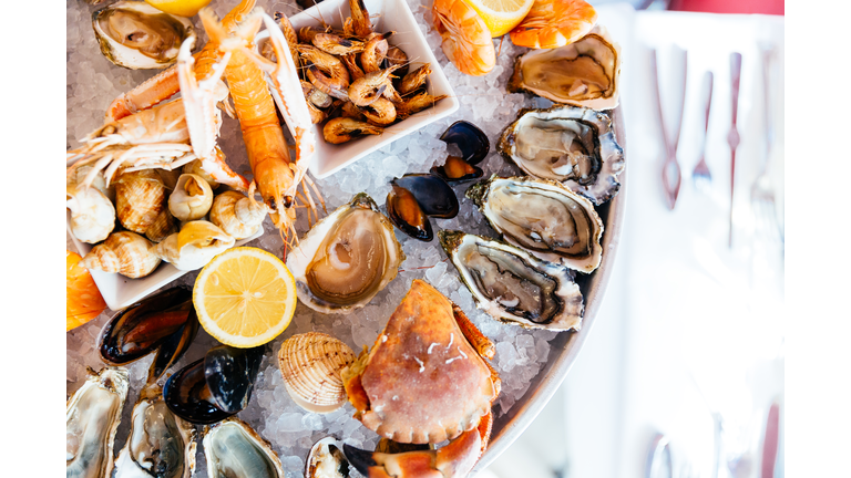 Directly above view of seafood platter