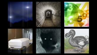 This Week's Weird News 3/25/22