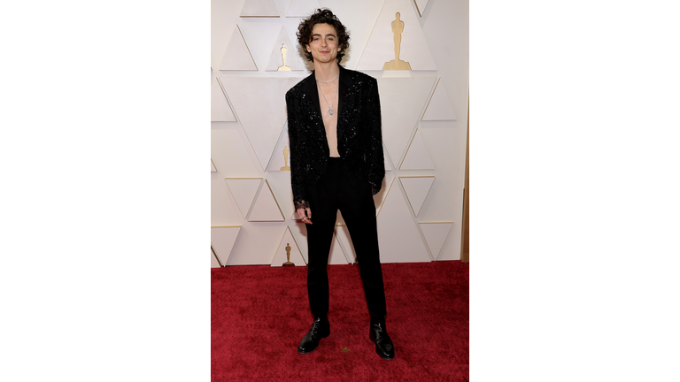 Timothée Chalamet Was Shirtless on the Oscars 2022 Red Carpet — See Photos