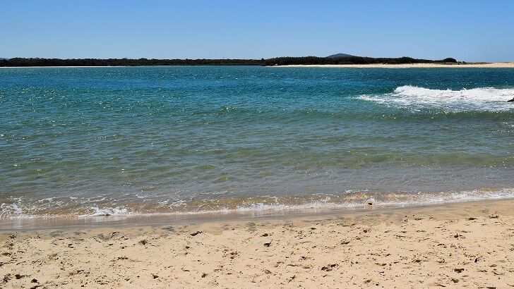 Video: Nightmarish 'Mystery Creature' Remains Found on Australian Beach